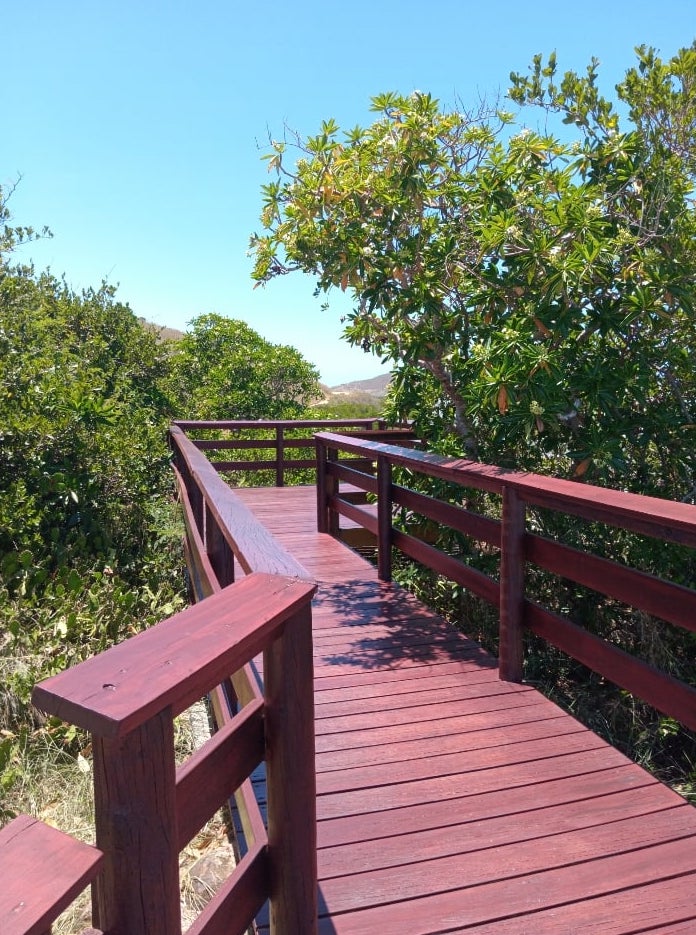 Passerelle en bois à Ouano – Réalisation Entreprise Quinty, La Foa (Nouvelle-Calédonie) Passerelle en bois construite par l’Entreprise Quinty à Ouano, commune de La Foa, illustrant un aménagement extérieur durable et intégré à l’environnement côtier de Nouvelle-Calédonie.