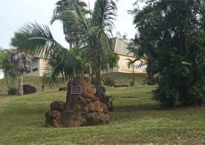 Espace vert entretenu par l’Entreprise Quinty à La Foa avec pelouse, palmiers et aménagement paysager valorisant un site public en Nouvelle-Calédonie.